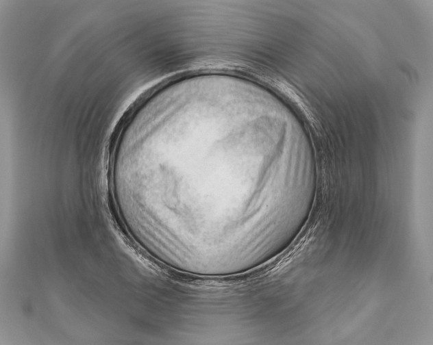 X0000111041124200907161339