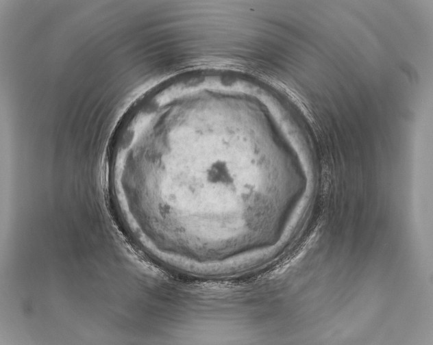 X0000111041125200907161339