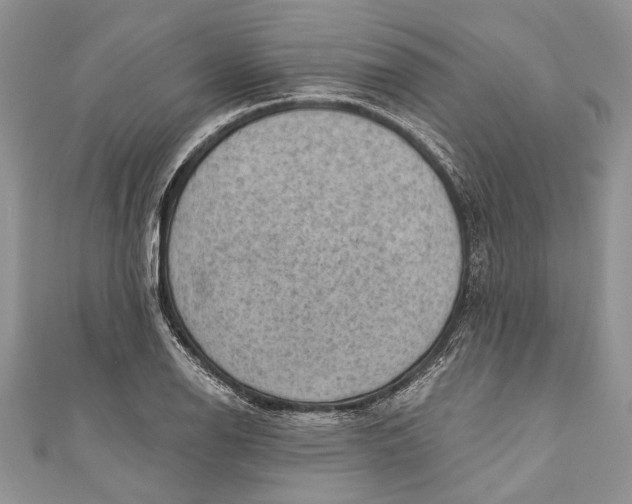 X0000111041126200907161339