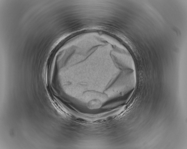 X0000111041127200907161339