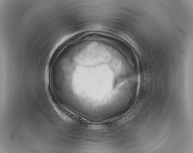 X0000111041128200907161339