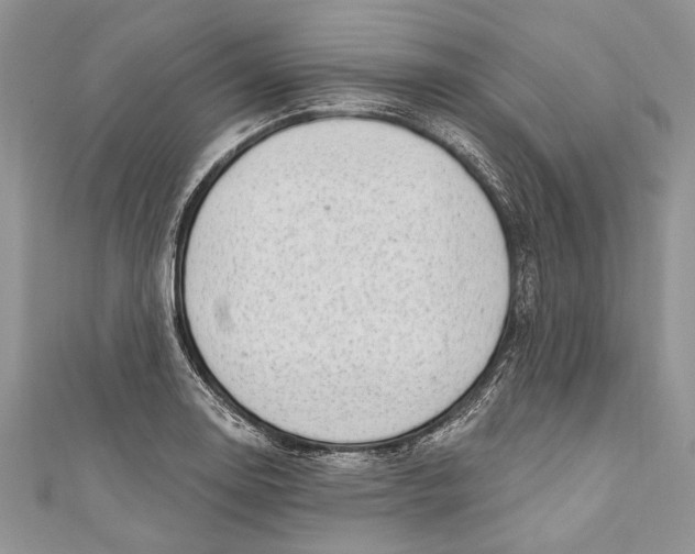 X0000111041130200907161339