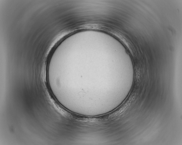 X0000111041131200907161339