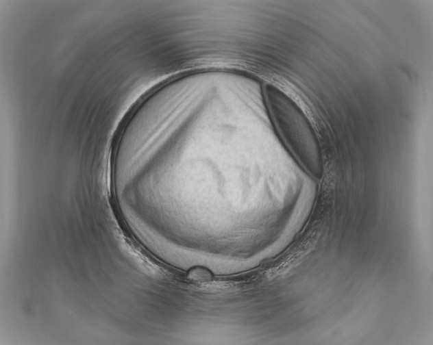 X0000111041132200907161339