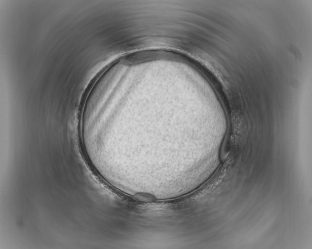 X0000111041134200907161339