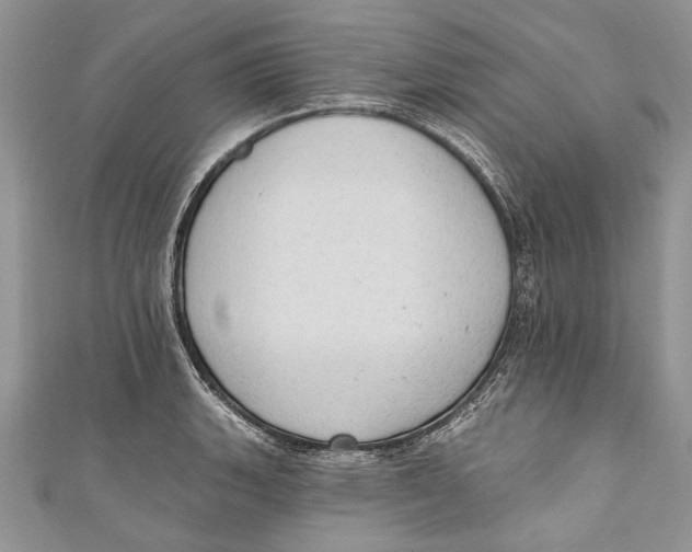 X0000111041135200907161339