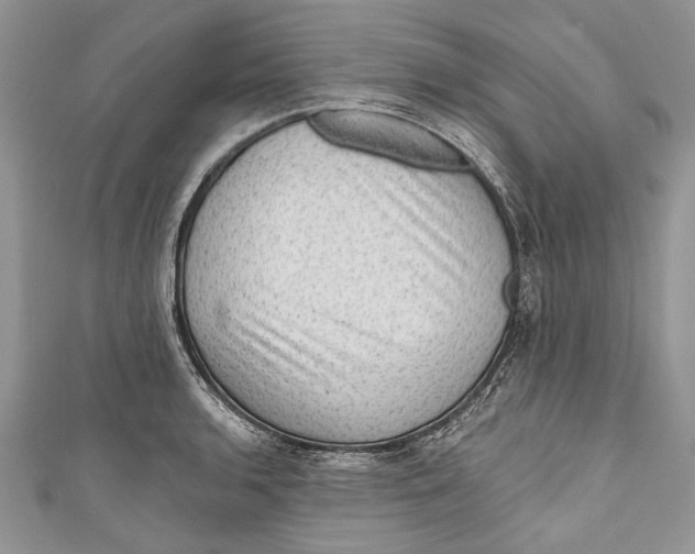 X0000111041136200907161339