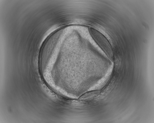 X0000111041138200907161339