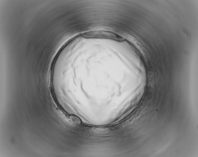 X0000111041140200907161339