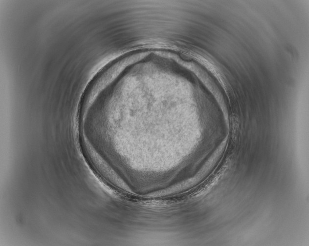 X0000111041141200907161339