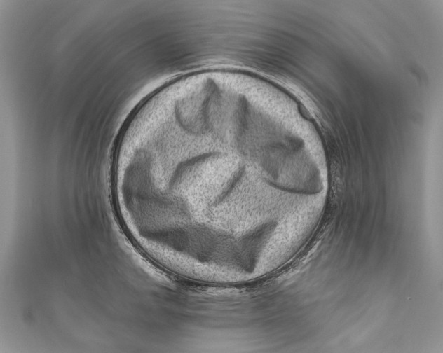 X0000111041142200907161339