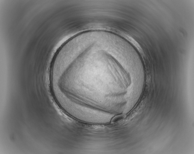 X0000111041144200907161339