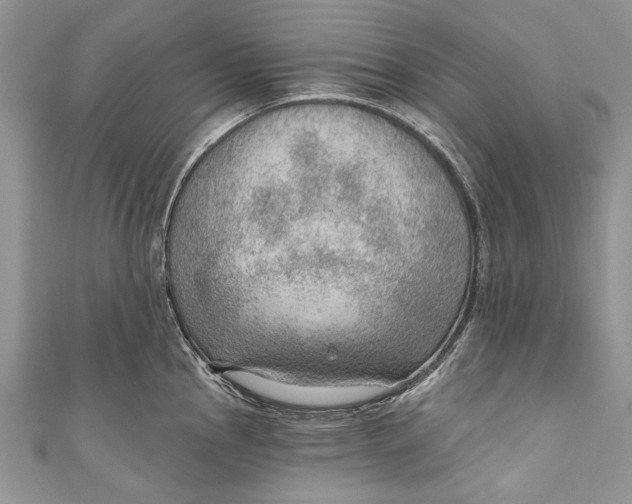 X0000111041145200907161339