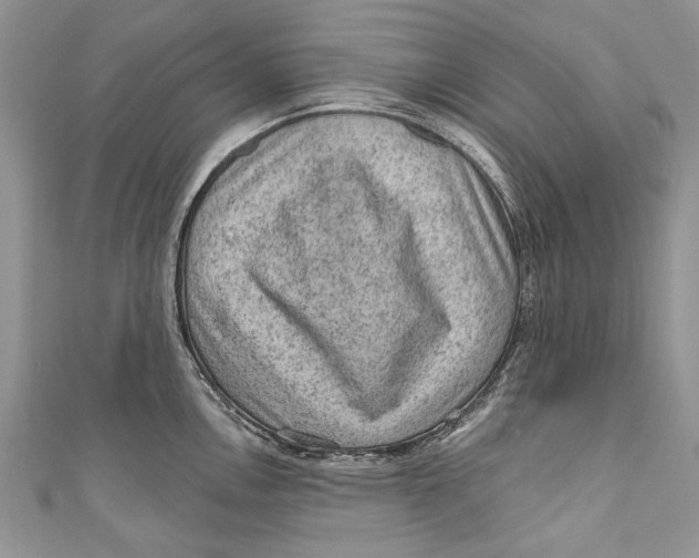 X0000111041146200907161339