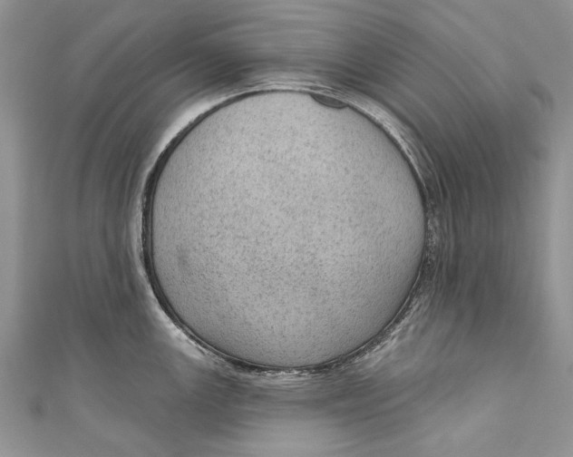 X0000111041147200907161339