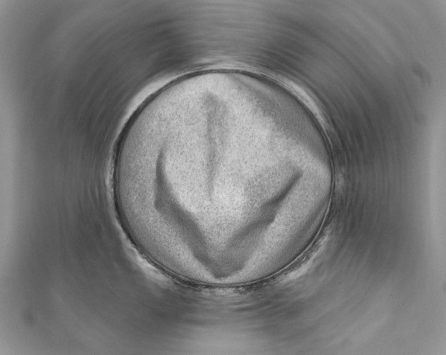 X0000111041149200907161339