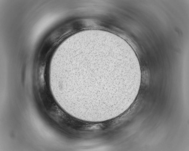 X0000111041150200907161339