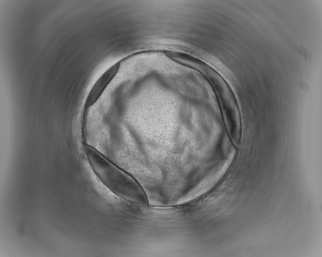 X0000111041152200907161339