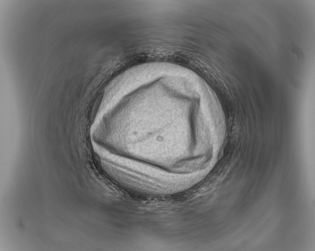 X0000111041153200907161339