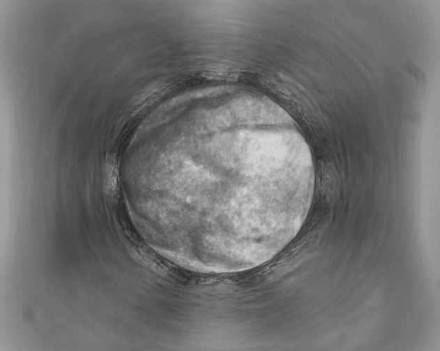 X0000111041154200907161339