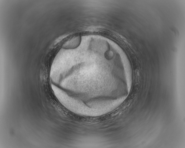 X0000111041158200907161339