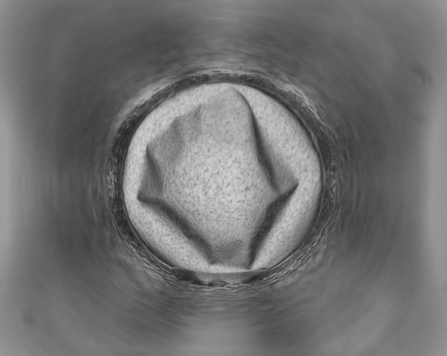 X0000111041159200907161339