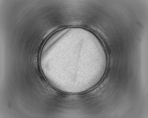 X0000111041162200907161339