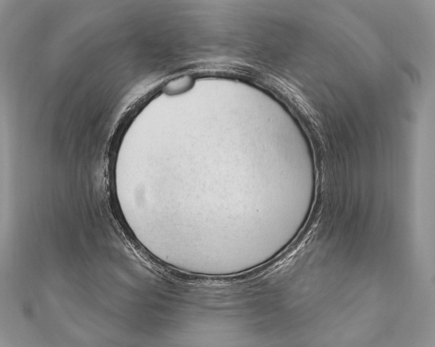 X0000111041164200907161339