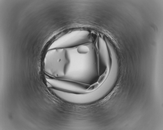 X0000111041165200907161339