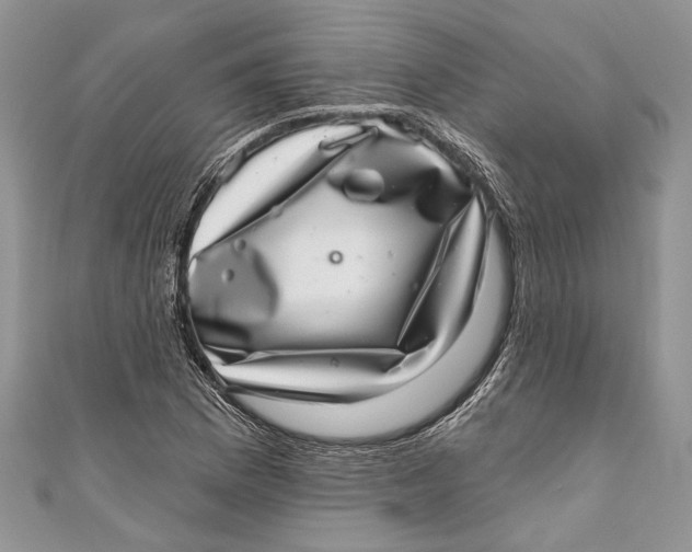 X0000111041169200907161339