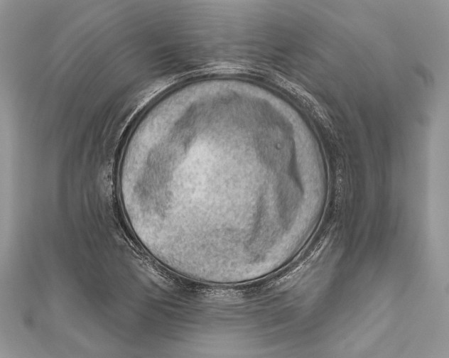 X0000111041170200907161339