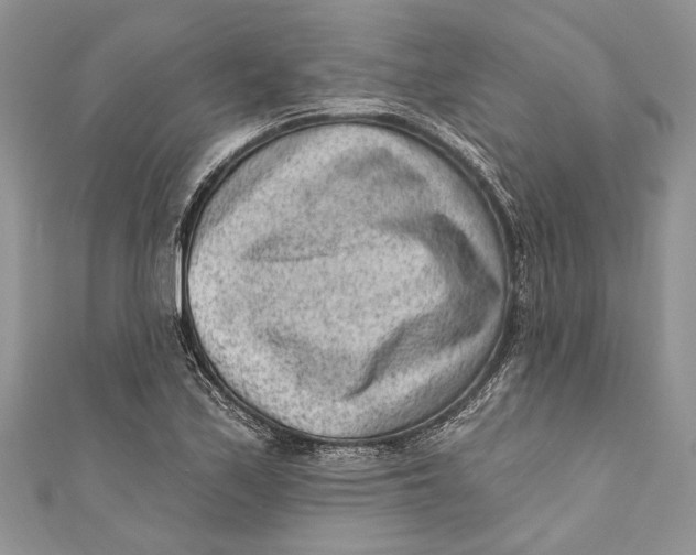 X0000111041171200907161339