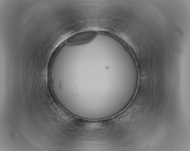 X0000111041173200907161339