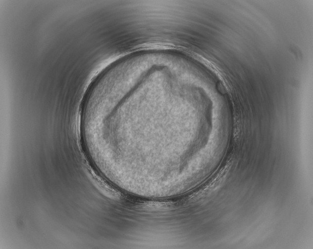 X0000111041179200907161338