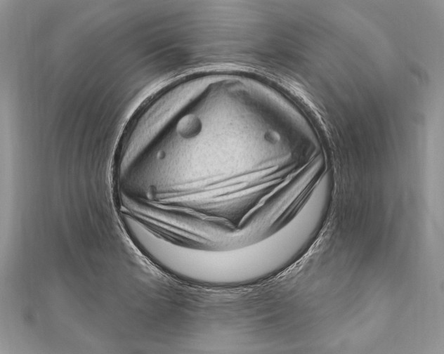 X0000111041181200907161338