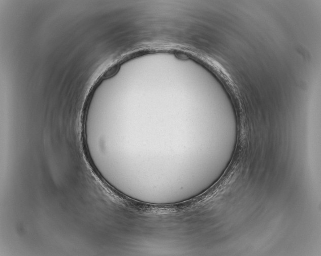 X0000111041183200907161338