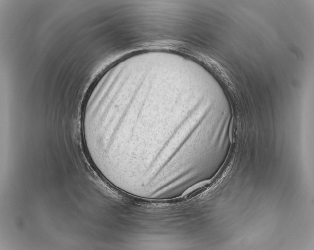 X0000111041184200907161338