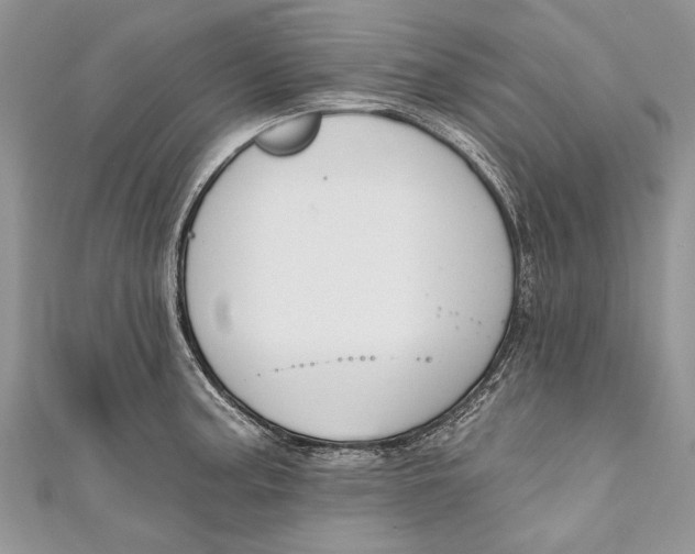 X0000111041187200907161338