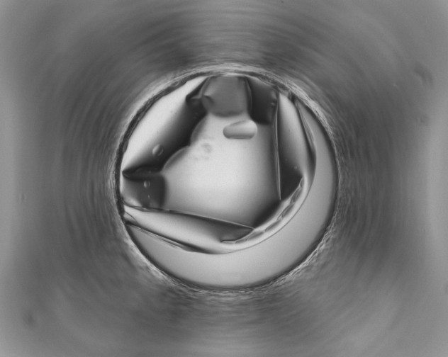 X0000111041189200907161338