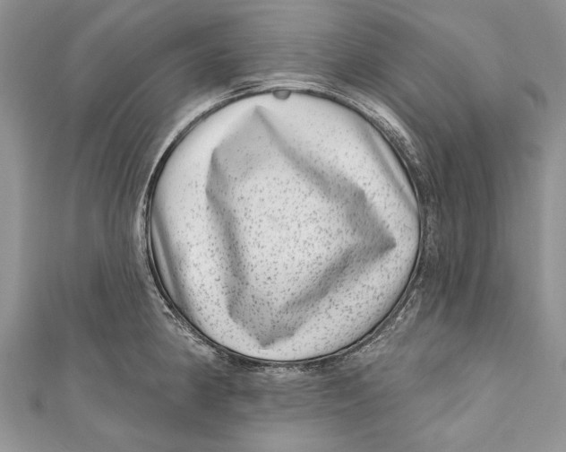 X0000111041190200907161338