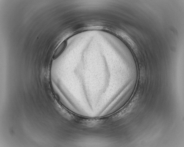 X0000111041193200907161338