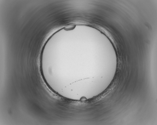 X0000111041195200907161338