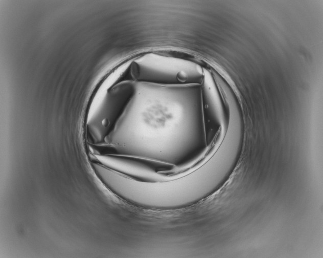 X0000111041197200907161338