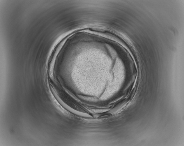 X0000111041200200907161338