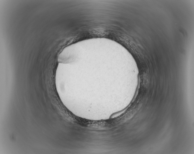 X0000111041201200907161338