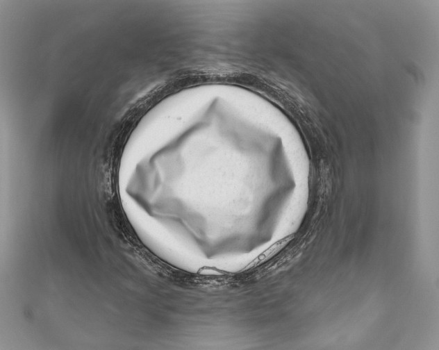 X0000111041205200907161338