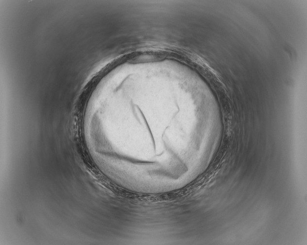 X0000111041208200907161338