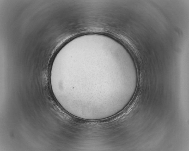 X0000111041212200907161338