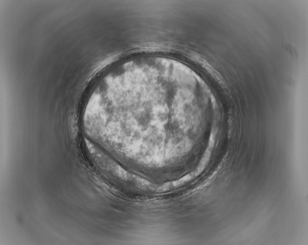 X0000111041213200907161338