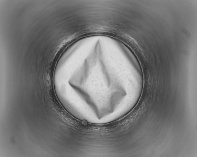 X0000111041218200907161338